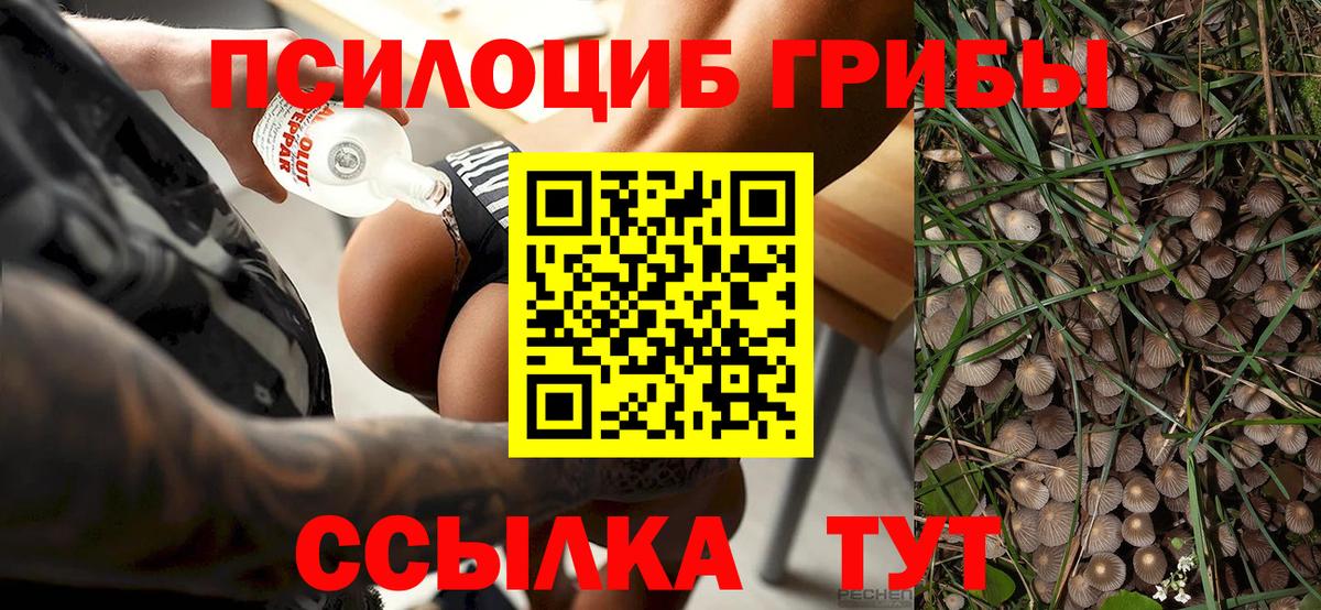 Галлюциногенные грибы MAGIC MUSHROOMS Верхний Уфалей