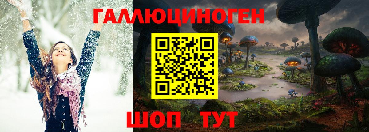 Псилоцибиновые грибы GOLDEN TEACHER  Вход с VPN  Верхний Уфалей 